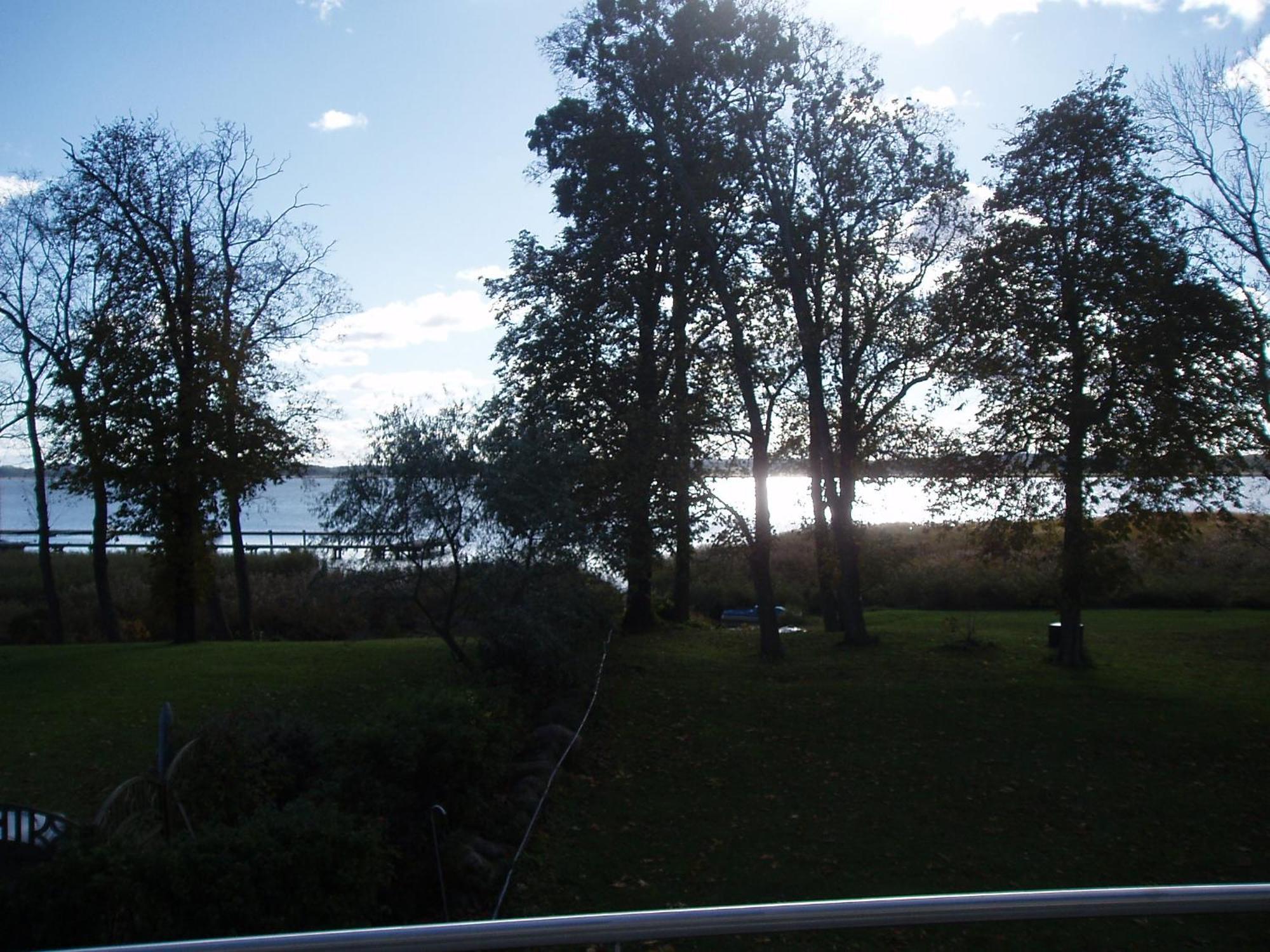Ferienwohnung Haus Carmen auf Usedom Nr.6 Ziemitz Exterior foto